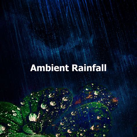 Raindrops Against Path Música E Letra De Ambient Rain Spotify