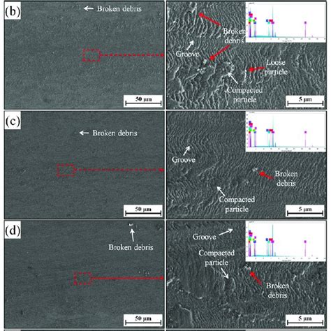 SEM Morphology Of Fracture Of The Tensile Specimen Of The Coating