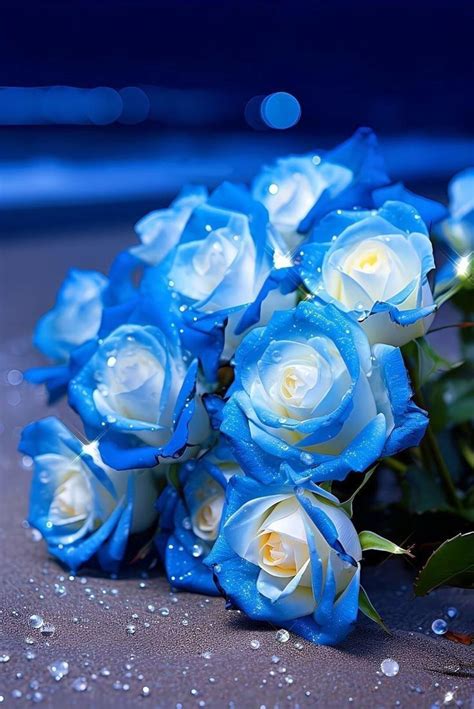 Blue And White Roses Are Laying On The Ground With Water Droplets All