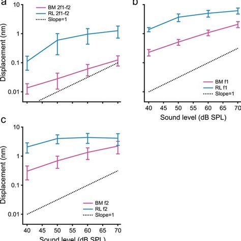 Inputoutput Functions Of The Reticular Lamina Rl And Basilar