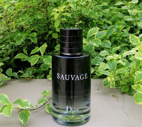 Dior Sauvage Edt In Depth Perfume Review Ysk