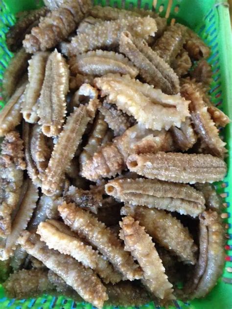 Wholesale Sea Cucumber Dried Cucumber Sea Available In Large Quantity