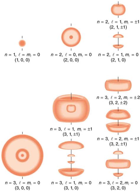 What Does Spin Quantum Number Determine - DERIFIT