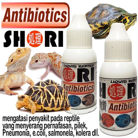 Jual Shori Obat Antibiotik Reptil Kura Suplement Vitamin Ular Tortoise