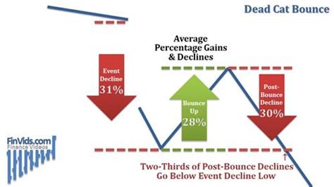 Dead Cat Bounce Chart Pattern - Rory-has-Lam