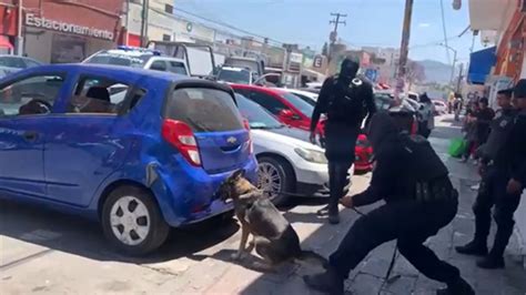 VIDEO Así interviene un agente canino de la policía estatal para la