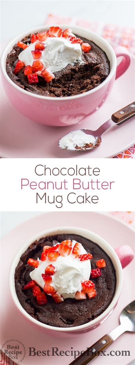 Chocolate Peanut Butter Mug Cake Recipe in Microwave | Best Recipe Bo