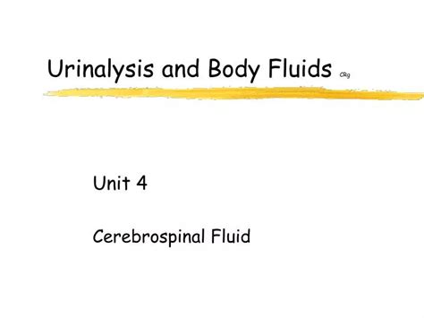 Ppt Urinalysis And Body Fluids Crg Powerpoint Presentation Free Download Id1172195