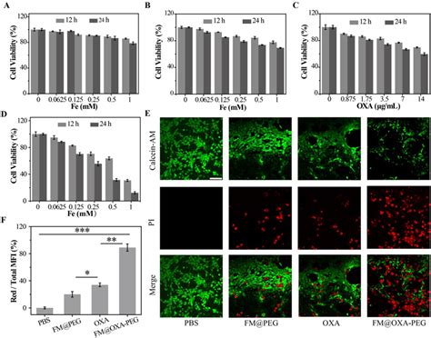 Study on enhanced synergistic therapeutic effect in vitro. (A) Cell ... 