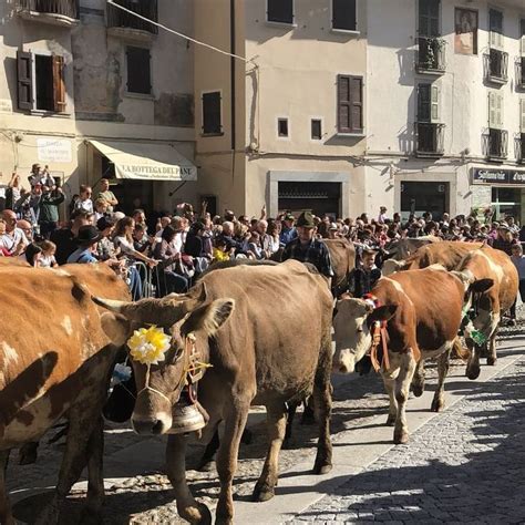 La Transumanza Di Bagolino Un Antico Rito Che Si Ripete Ogni Anno