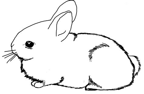 Bunny Coloring Pages | Free download on ClipArtMag