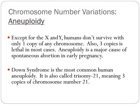Ppt Genetic Disorders Sex Linked Traits Powerpoint Presentation Id