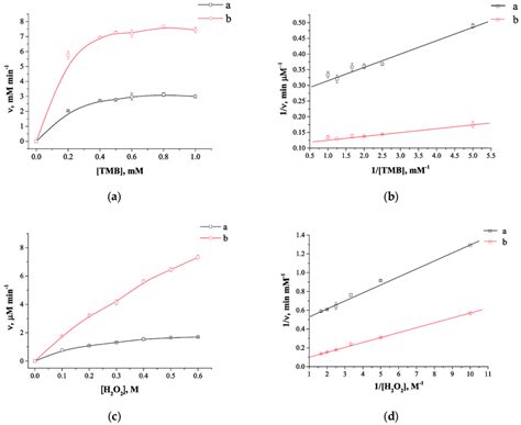 Kinetic Dependences Of Michaelis Menten And Their Linear Download