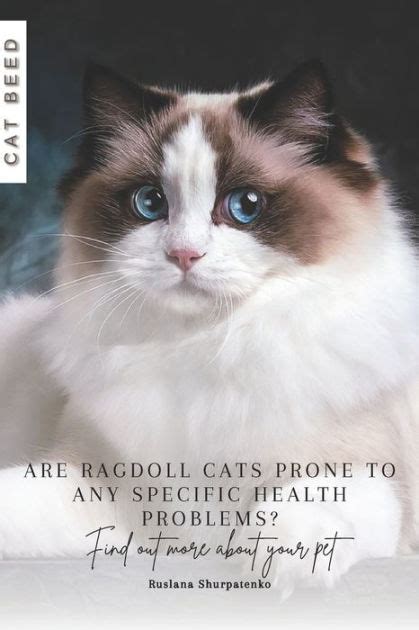 Are Ragdoll Cats Prone To Any Specific Health Problems Find Out More