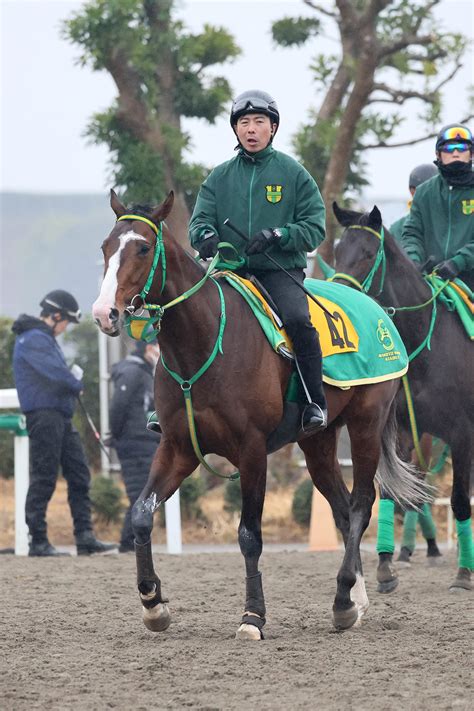 【勝羽の日曜競馬コラム・阪急杯】 日刊ゲンダイ競馬