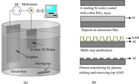 (a) The schematic of the anodization setup, (b) the fabrication process ...