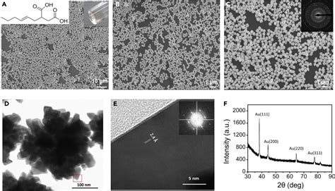 Biosynthesis Of Highly Branched Gold Nanoparticles Through Structural