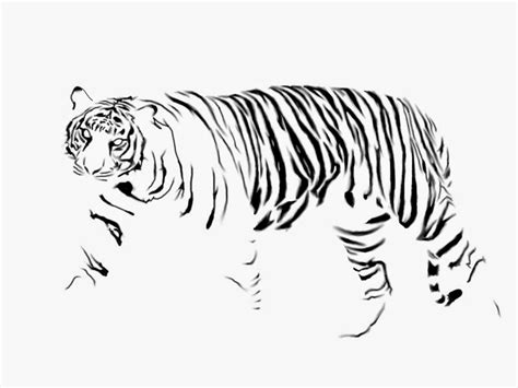 Gestalt Theory Tiger Artsy Dork