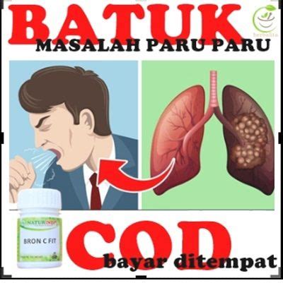 Obat Asma Dan Sesak Nafas Herbal Obat Asma Kapsul Obat Batuk Menahun