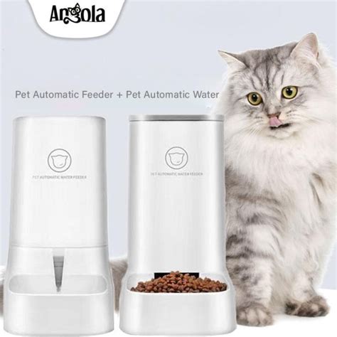 Jual Pet Feeder M Tempat Makan Anjing Kucing Dispenser Minum Hewan