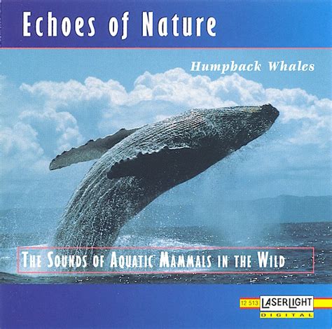 No Artist Humpback Whales The Sounds Of Aquatic Mammals In The Wild