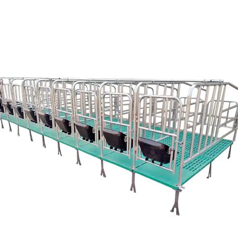 Pig Farm Equipment Cages Gestation Crates Pen For Pigs Alibaba