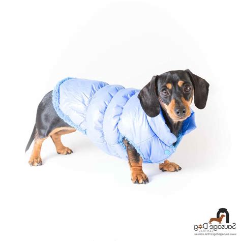 Dachshund Jacket