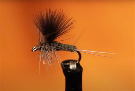 Video How To Tie A Great CDC Blue Winged Olive Everest News