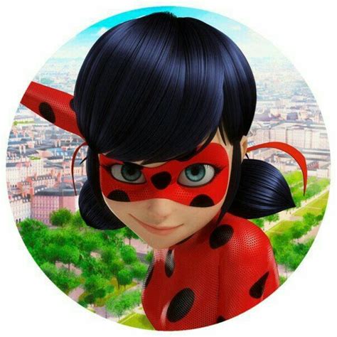 Pin On Festa Da Ladybug De Sofia Miraculous Ladybug Party Miraculous