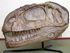 15 Mapusaurus (Cretaceous) ideas | paleontology, prehistoric creatures ...