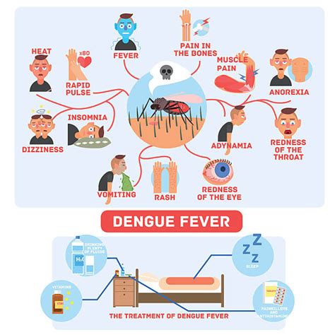 Dengue Fever Clip Art Illustrations, Royalty-Free Vector Graphics & Clip Art - iStock