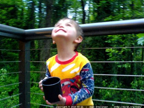 Photo Drinking Kombucha On The Back Deck Dsc03384 By Seandreilinger