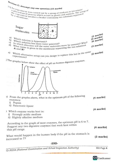 Nesa Examination Questions And Answers Rene Vallie