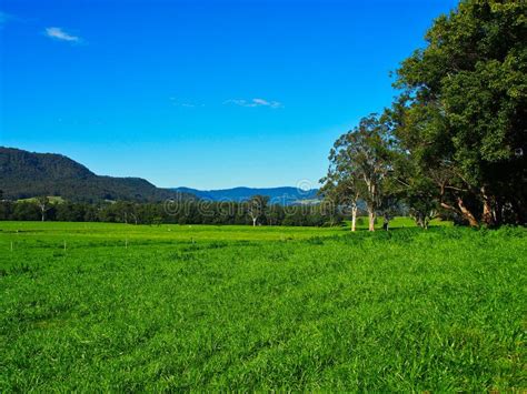 Lush Australia Landscape Stock Photo Image Of Nature 4413858