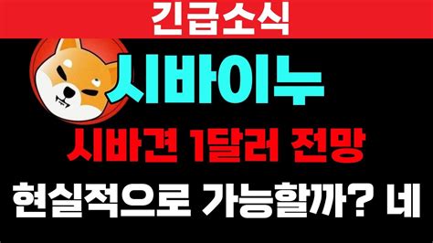 시바이누 코인 시바견 1달러 전망 현실적으로 가능할까 Youtube