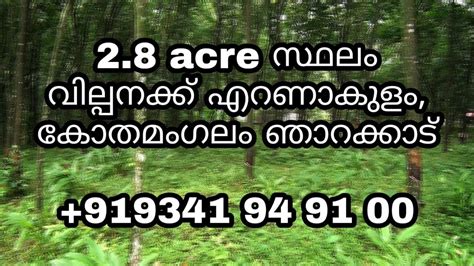 Land For Sale In Ernakulam Kothamangalam Agriculture Land Farm Land