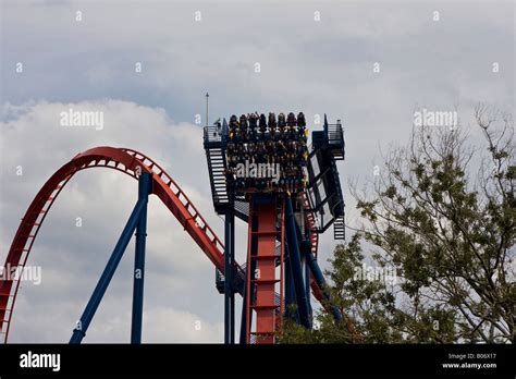 Sheikra Roller Coaster Thrill Ride at Busch Gardens in Tampa Florida Fl ...