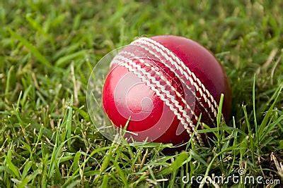 Cricket Ball On Grass Royalty Free Stock Photo - Image: 1965955