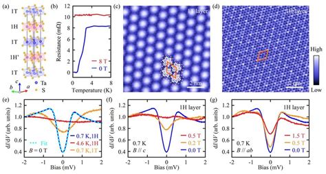 Quasi Two Dimensional Superconductivity In The H Layer Of Hb Tas