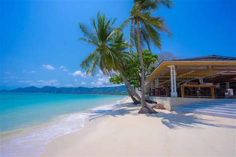 Why Chaweng Regent Beach Resort Is The Best Resort In Koh Samui