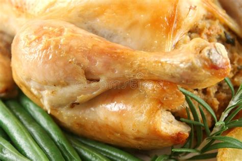 Chicken Drumstick stock photo. Image of yummy, nourishing - 6992952