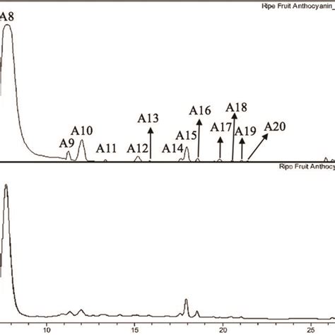 A Ms Spectrogram In Positive Ion Mode And B Hplc Chromatogram Uv