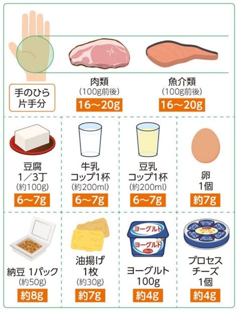 タンパク質量の手軽な覚え方 スポーツジム コスモス溝の口本店のブログ