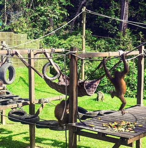 10 Best Malaysia Small Group Tours & Trips 2025/2026 - TourRadar