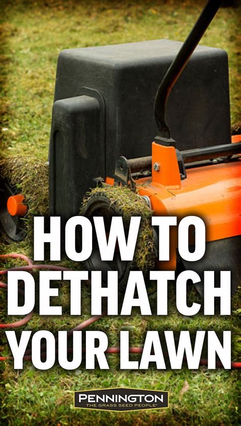 Why When And How To Dethatch Your Lawn Dethatching Lawn Care