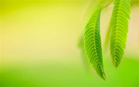 Windows 8 Original Wallpapers Group 75