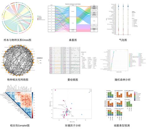 微生物16s测序数据的正确打开方式 Csdn博客