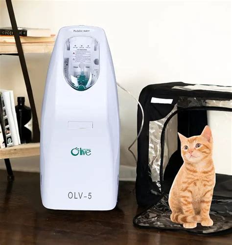 Home Care Oxygen Concentrator OLV 5 Zhengzhou Olive Electronic