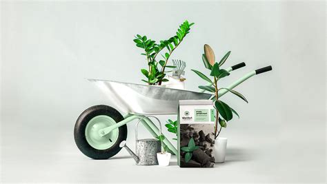 Wellfort :: Behance