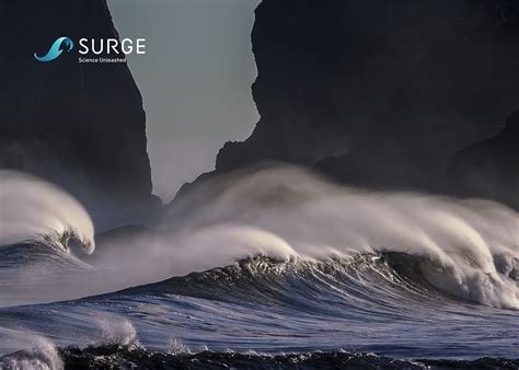 SURGE on Behance
